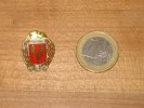 Pin's, épinglette